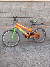 bicicletta 