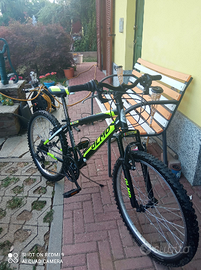 bici da ragazzo