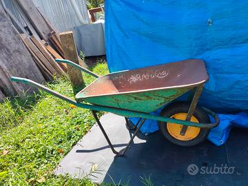 cariola 