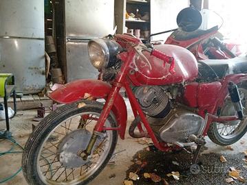 moto Guzzi lodola 235