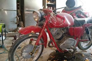 moto Guzzi lodola 235
