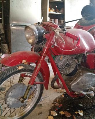 moto Guzzi lodola 235