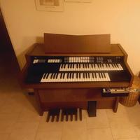 Organo Hammond