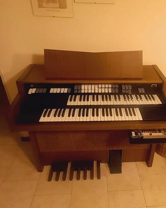 Organo Hammond