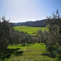 Lotti 1000mq Terreno Casole dElsa Veduta Appennino