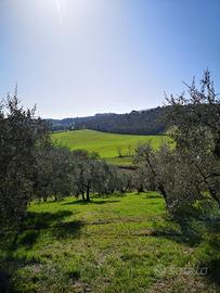 Lotti 1000mq Terreno Casole dElsa Veduta Appennino