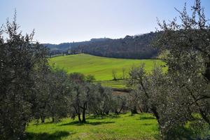 Lotti 1000mq Terreno Casole dElsa Veduta Appennino
