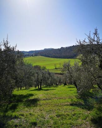 Lotti 1000mq Terreno Casole dElsa Veduta Appennino