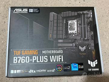 Asus tuf b760-plus wifi ddr5