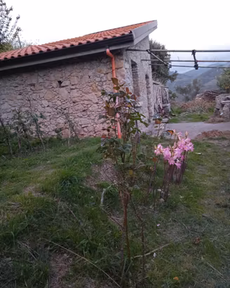 Oasi agricola  con rudere, sorgente , ulivi .