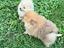 Immagine 6