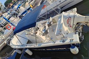 Kelt White Shark 205