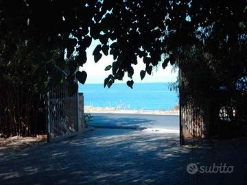 Bilocale Palinuro Saline 100 m da spiaggia