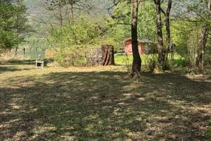 Spiaggia privata - Lago Levico - accesso con auto