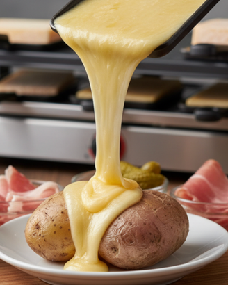 Griglia per raclette - Silvercrest NUOVA