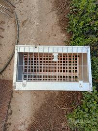 nidi coniglio gabbia 