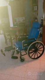 sedia a rotelle 