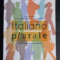 Italiano  plurale