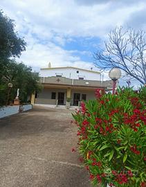 Villetta rustica nel verde a Pisticci