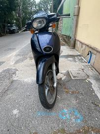 Scarabeo 50