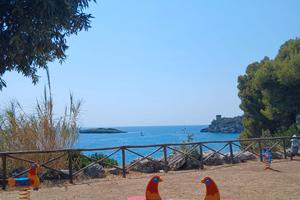 Casa vacanze a marina di camerota