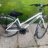 Bicicletta Biesse