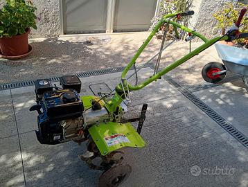 Motozappa grillo