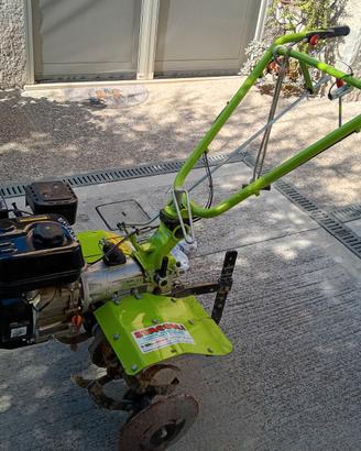 Motozappa grillo