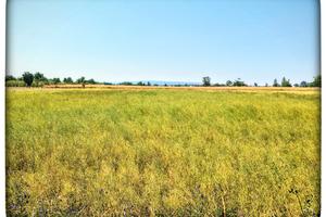 9000m² di Terreno Agricolo A Giugliano Sorbe Rosse