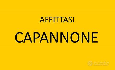 Capannone con ampio scoperto ad uso esclusivo.