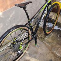 cannondale fsi carbon team