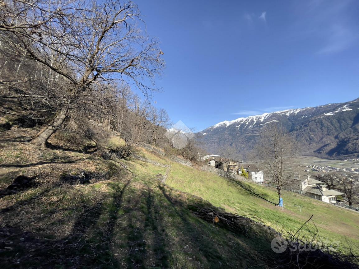 TER. RESIDENZIALE A TIRANO - Vista 5