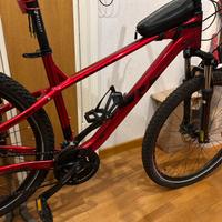 Bicicletta MTB Hardtail Raymon + accessori