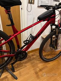 Bicicletta MTB Hardtail Raymon + accessori