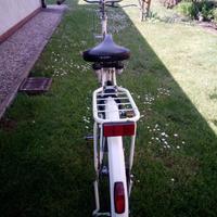 Bici originale olandese 