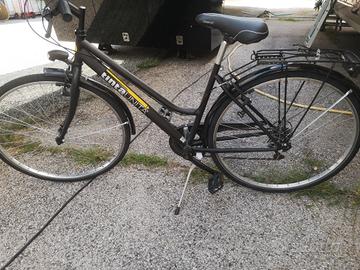 bicicletta donna 