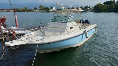 BOSTON WHALER 290  VALUTIAMO PERMUTA