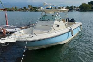 BOSTON WHALER 290  VALUTIAMO PERMUTA