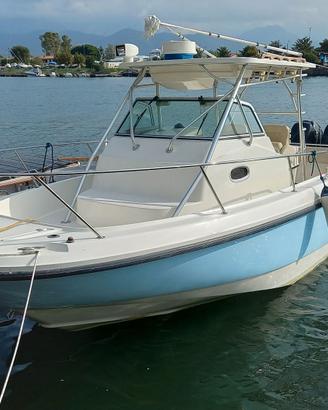 BOSTON WHALER 290  VALUTIAMO PERMUTA