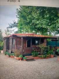 Bungalow casa mobile