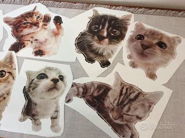Adesivi con Gatti