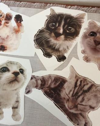 Adesivi con Gatti