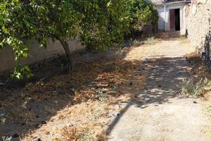 terreno con rudere 295mq