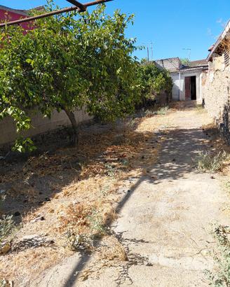 terreno con rudere 295mq