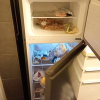 frigorifero ancora con garanzia 