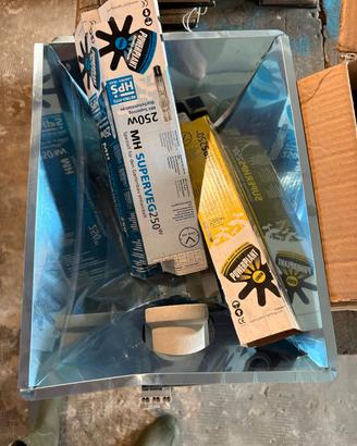 Lampada da fioritura