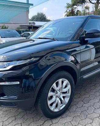 Land Rover Range Evoque 2.0 eD4 5p. Pure*EURO6*PEL