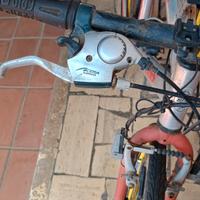 Bicicletta Mass
