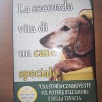 la seconda vita di un cane speciale 