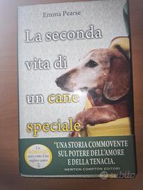 la seconda vita di un cane speciale 